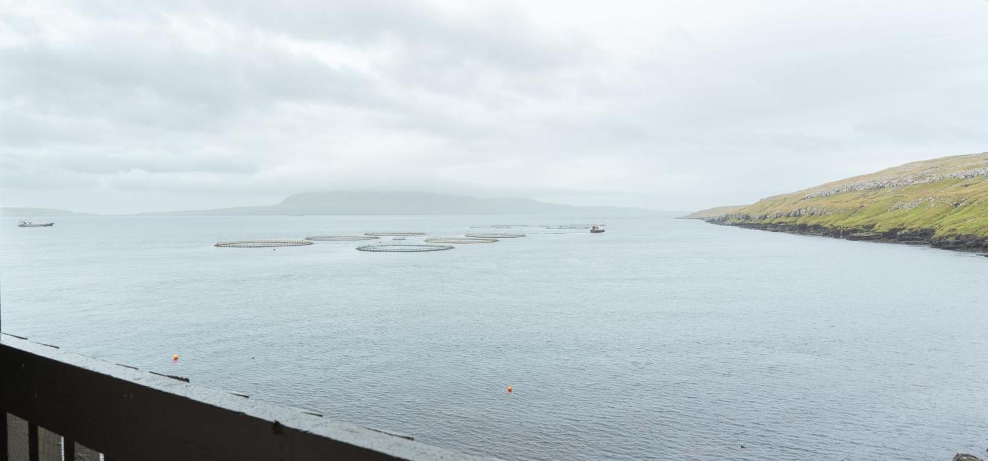 A Tromini Guesthouse Tórshavn Buitenkant foto